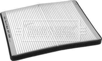 Borg & Beck BFC1081 - Фільтр, повітря у внутрішній простір autocars.com.ua