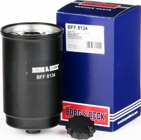 Borg & Beck BFF8134 - Топливный фильтр avtokuzovplus.com.ua