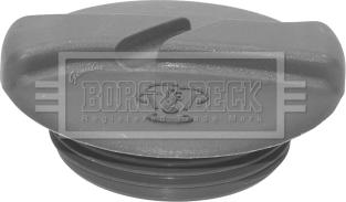 Borg & Beck BRC113 - Крышка, резервуар охлаждающей жидкости avtokuzovplus.com.ua
