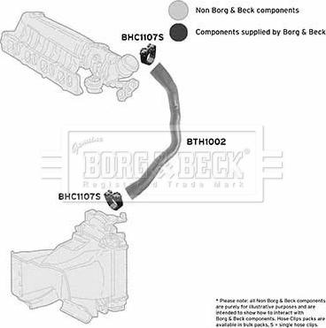Borg & Beck BTH1002 - Трубка нагнітається повітря autocars.com.ua