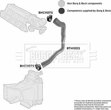 Borg & Beck BTH1003 - Трубка нагнітається повітря autocars.com.ua