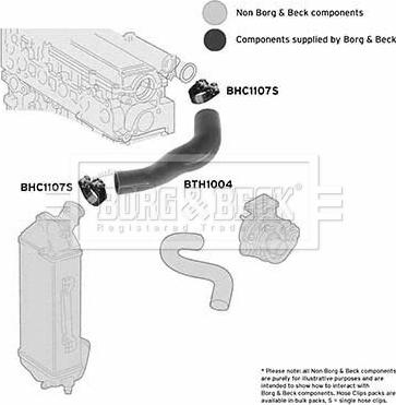 Borg & Beck BTH1004 - Трубка нагнітається повітря autocars.com.ua