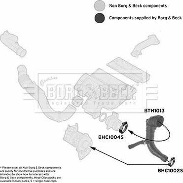 Borg & Beck BTH1013 - Трубка, нагнетание воздуха avtokuzovplus.com.ua