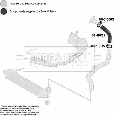 Borg & Beck BTH1022 - Трубка нагнітається повітря autocars.com.ua