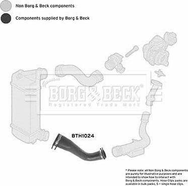 Borg & Beck BTH1024 - Трубка нагнітається повітря autocars.com.ua