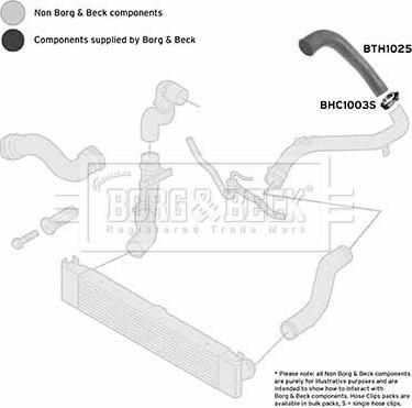 Borg & Beck BTH1025 - Трубка, нагнетание воздуха avtokuzovplus.com.ua