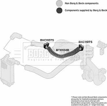 Borg & Beck BTH1048 - Трубка нагнітається повітря autocars.com.ua