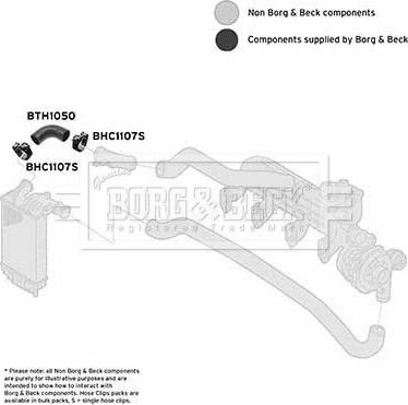 Borg & Beck BTH1050 - Трубка, нагнетание воздуха autodnr.net