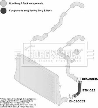 Borg & Beck BTH1065 - Трубка нагнітається повітря autocars.com.ua