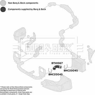 Borg & Beck BTH1067 - Трубка нагнітається повітря autocars.com.ua