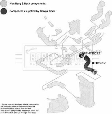 Borg & Beck BTH1069 - Трубка нагнітається повітря autocars.com.ua