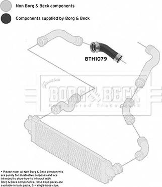 Borg & Beck BTH1079 - Трубка нагнітається повітря autocars.com.ua