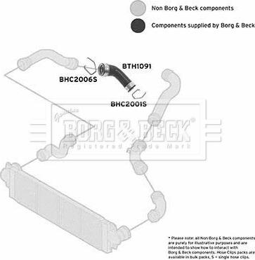 Borg & Beck BTH1091 - Трубка нагнітається повітря autocars.com.ua