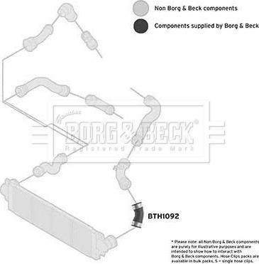 Borg & Beck BTH1092 - Трубка нагнітається повітря autocars.com.ua