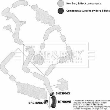 Borg & Beck BTH1095 - Трубка нагнітається повітря autocars.com.ua
