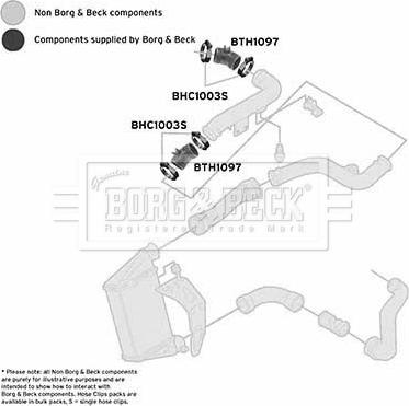 Borg & Beck BTH1097 - Трубка нагнітається повітря autocars.com.ua