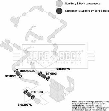Borg & Beck BTH1101 - Трубка, нагнетание воздуха avtokuzovplus.com.ua