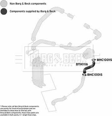 Borg & Beck BTH1116 - Трубка, нагнетание воздуха avtokuzovplus.com.ua