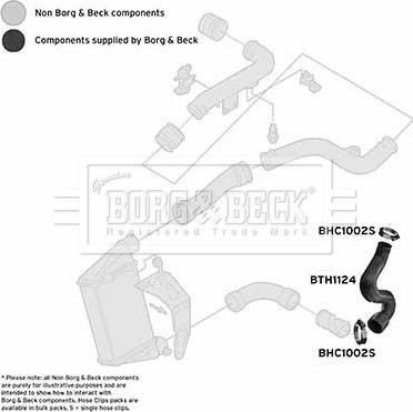 Borg & Beck BTH1124 - Трубка, нагнетание воздуха avtokuzovplus.com.ua