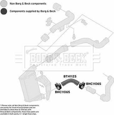 Borg & Beck BTH1125 - Трубка, нагнетание воздуха avtokuzovplus.com.ua