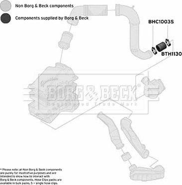 Borg & Beck BTH1130 - Трубка нагнітається повітря autocars.com.ua