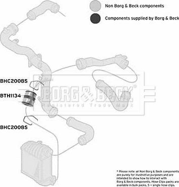 Borg & Beck BTH1134 - Трубка, нагнетание воздуха avtokuzovplus.com.ua