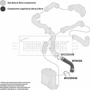 Borg & Beck BTH1135 - Трубка нагнітається повітря autocars.com.ua