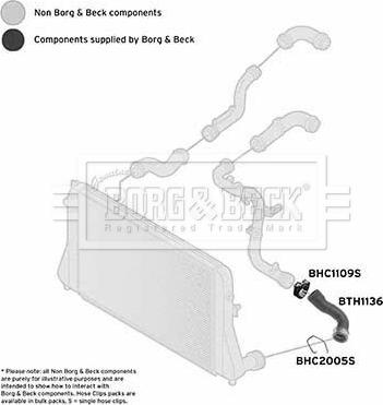 Borg & Beck BTH1136 - Трубка нагнітається повітря autocars.com.ua