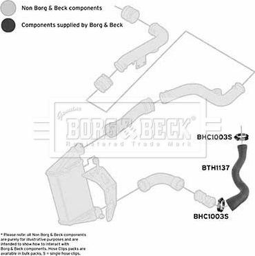 Borg & Beck BTH1137 - Трубка нагнітається повітря autocars.com.ua