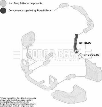 Borg & Beck BTH1145 - Трубка нагнітається повітря autocars.com.ua