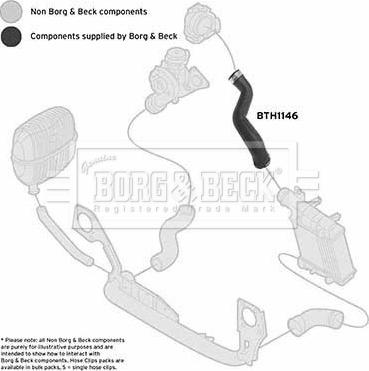 Borg & Beck BTH1146 - Трубка нагнітається повітря autocars.com.ua