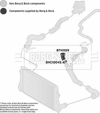 Borg & Beck BTH1159 - Трубка нагнітається повітря autocars.com.ua