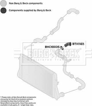 Borg & Beck BTH1165 - Трубка, нагнетание воздуха avtokuzovplus.com.ua