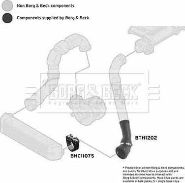 Borg & Beck BTH1202 - Трубка нагнітається повітря autocars.com.ua