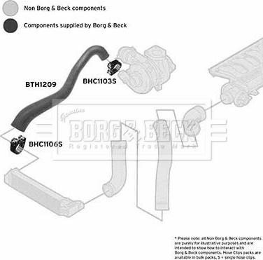 Borg & Beck BTH1209 - Трубка нагнітається повітря autocars.com.ua