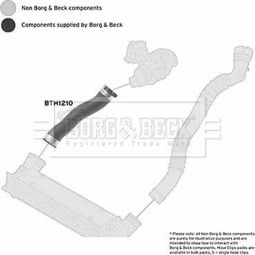 Borg & Beck BTH1210 - Трубка, нагнетание воздуха avtokuzovplus.com.ua