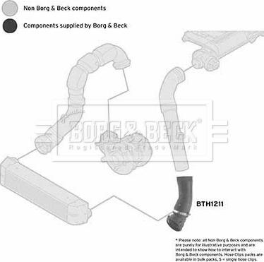 Borg & Beck BTH1211 - Трубка нагнітається повітря autocars.com.ua