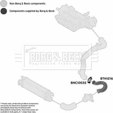 Borg & Beck BTH1216 - Трубка нагнітається повітря autocars.com.ua