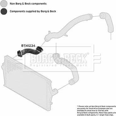 Borg & Beck BTH1234 - Трубка, нагнетание воздуха avtokuzovplus.com.ua