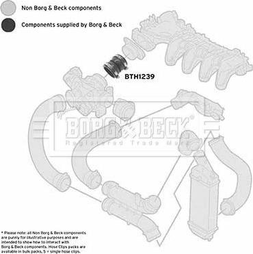 Borg & Beck BTH1239 - Трубка, нагнетание воздуха avtokuzovplus.com.ua