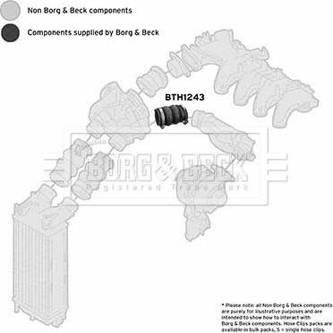 Borg & Beck BTH1243 - Трубка нагнітається повітря autocars.com.ua