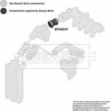 Borg & Beck BTH1247 - Трубка нагнітається повітря autocars.com.ua