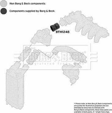 Borg & Beck BTH1248 - Трубка нагнітається повітря autocars.com.ua