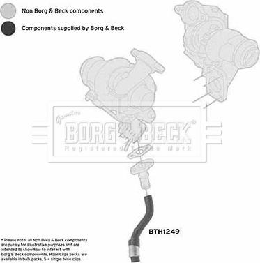 Borg & Beck BTH1249 - Трубка, нагнетание воздуха avtokuzovplus.com.ua