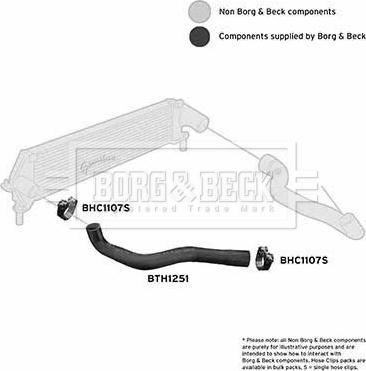 Borg & Beck BTH1251 - Трубка нагнітається повітря autocars.com.ua