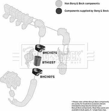 Borg & Beck BTH1257 - Трубка нагнітається повітря autocars.com.ua