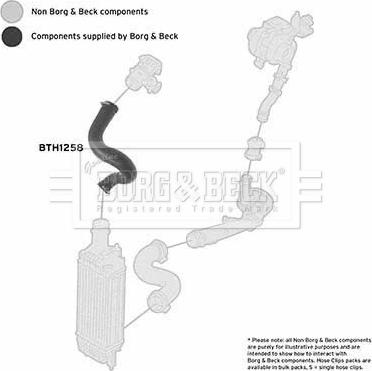 Borg & Beck BTH1258 - Трубка, нагнетание воздуха autodnr.net