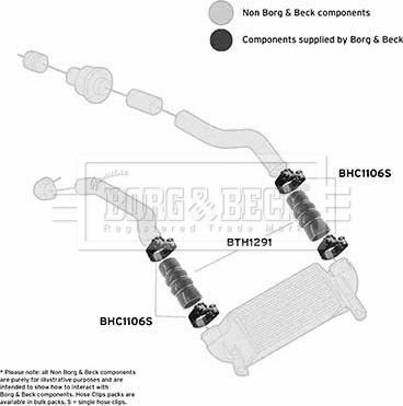 Borg & Beck BTH1291 - Трубка нагнітається повітря autocars.com.ua