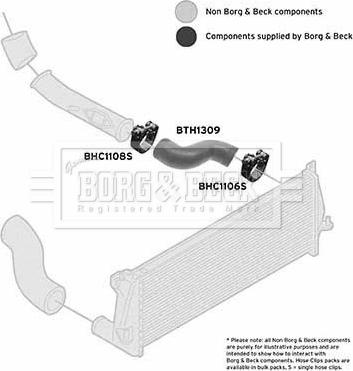 Borg & Beck BTH1309 - Трубка нагнітається повітря autocars.com.ua