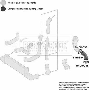 Borg & Beck BTH1319 - Трубка, нагнетание воздуха avtokuzovplus.com.ua